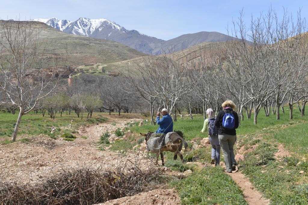 Maroc Lodge Atlas Mountain Retreat Amizmiz エクステリア 写真